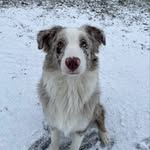 Hazel and Hank - @hazel.hank.siblings - Instagram