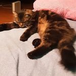 Grace Hazel Hanley - @gracehazelhanley - Instagram