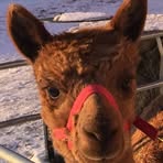 Hazel Hansen - Facebook