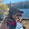HarleyHazel_1 - @harleyhazel_1 - TikTok