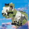 Hazel •&• Harley - @hazelandharley31825 - TikTok