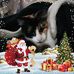 Hazel Harmon - Facebook