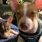 Hazel and Hatch - @hazel_n_hatch - Instagram