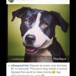 @hazelhatch505 - Instagram