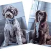 HenryandHazel - @henryandhazelhatch - TikTok