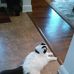 Hazel Hebert - Facebook