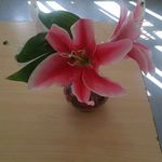 Hazel Cherrington - @hazel.cherrington.3572 - Instagram
