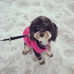 Hazel - @hazel_hirsch - Instagram