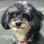 HazelGraceHirsch - @hazelgracehirsch - Instagram