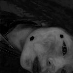 hazelIbarra_lop - @hazelibarra_lop - Instagram