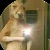 Hazel - @hazel.israel0 - TikTok
