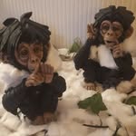 Hazel Jackson - @hazeljackson1961 - Instagram