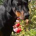 Hazel Jackson - Facebook