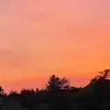 hazeljacobbs - @hazeljacobbs - TikTok