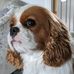 Hazel Jacques - Facebook