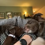 Hazel🤍Jasper🤍 - @lil_nut_lil_chip - Instagram