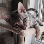 Jasper & Hazel - @jasperandhazel_ - Instagram