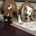Jasper&hazel - @jasper_hazel - Instagram