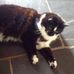 Hazel Jeffries - Facebook