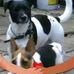 Hazel jennings - Facebook