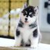 Hazel Jennings - Facebook