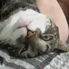 Author.HazelJonas - @author.hazeljonas - TikTok