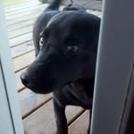 Hazel Joyner - @hazel.joyner.7 - Instagram