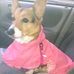 Hazel Justice - Facebook