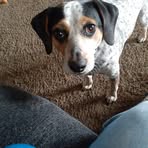 Hazel Justice - Facebook
