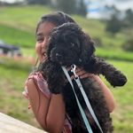 Hazel kaur - @hazel_life30 - Instagram