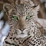 hello - @hazelkeller1234 - Instagram