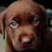 Hazel Kemp - Facebook