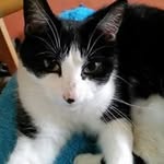 Hazel Kenny - @hazedan64 - Instagram