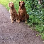 Hazelkenyon - @hazelkenyon8 - Instagram