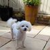Hazel Cairns - Facebook