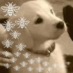 Hazel Kirk - Facebook