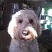Hazel Kirkpatrick - Facebook