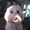 Hazel Kirkpatrick - @hazel.kirkpatrick - TikTok
