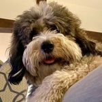 Hazel Koch - @hazel_koch_texas - Instagram