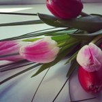 Hazel Lambert - @botancord - Instagram