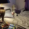 hazellambert - @hazel.lambert - TikTok