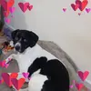 Hazel Laughlin - @hazel.laughlin - TikTok