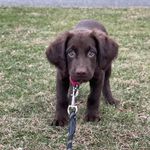 @hazel_light_2022 - Instagram