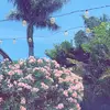 Hazel - @hazel_main3 - TikTok