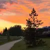 hazel - @hazelmain.1 - TikTok