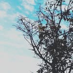 Aidan James Rhoda - @major_hazelx - Instagram
