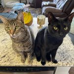Cage and Hazel Malone - @cageandhazelmalone - Instagram