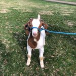 @hazelmarlow12 - Instagram