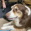 hazelanddoctorfrog - @hazelmathis513 - TikTok