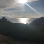 Hazel Mayo - @cranks12 - Instagram